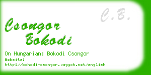 csongor bokodi business card